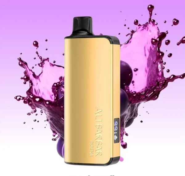 ALIBARBAR INGOT 9000 PUFFS – Ribena